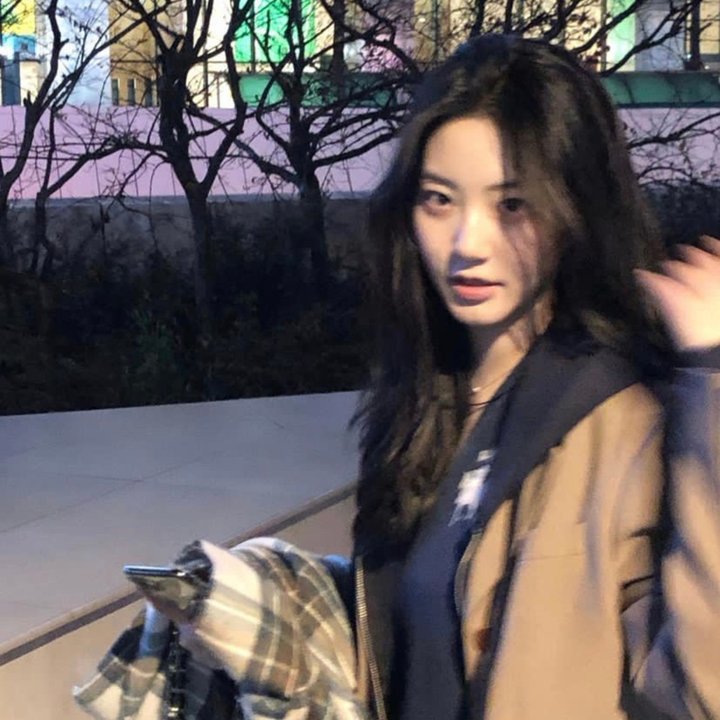 杜鹃花儿开